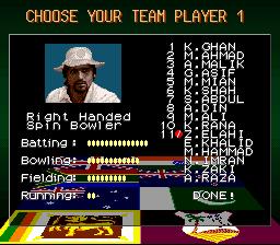 Super International Cricket screenshot 3 for Super Nintendo
